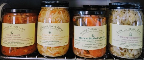 Jars of Turnip Kimichi, Celeriac Kraut, Mexican Pickled Carrots, and Caraway Sauerkraut.