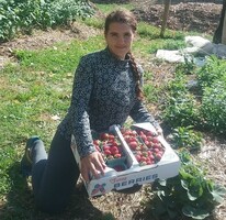 Katya picking strawberries, holding a boxfull.